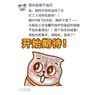 【开票提醒】周杰伦、张学友、陈奕迅、林俊杰、王心凌…… 演唱会火爆集结，你准备好了吗？