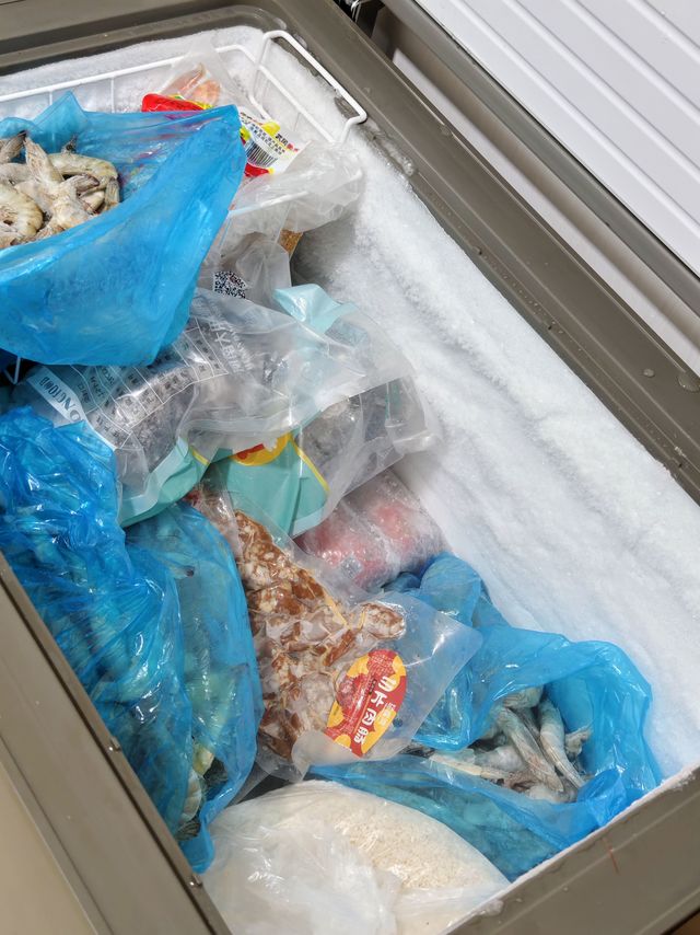 囤货是病，囤了4个冰柜1个冰箱吃的，花5000+，有超过我的同学吗