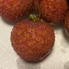 今年果然是荔枝大年，我竟然吃到了荔枝珍品——挂绿荔枝