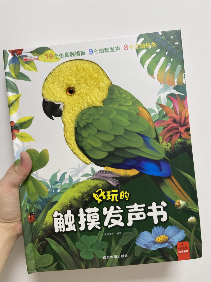 贝灵启蒙认知