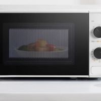 微波炉哪个牌子好？全方位实测分析十大品牌
