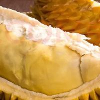 榴莲控尖叫预警！这颗金枕头让我实现水果自由～