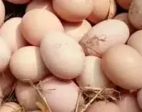 鸡蛋变“扯淡”，价格翻了20倍，这6种鸡蛋都是智商税，别碰！