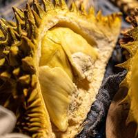 买榴莲，别挑开裂的，教你6招，挑出“母”榴莲，皮薄肉厚香又甜