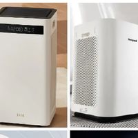         空气净化器品牌怎么选？真实评价上榜机型！