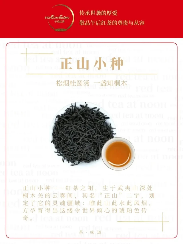 每日一茶分享|正山小种——红茶之祖