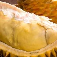 京鲜生金枕榴莲让我实现“榴莲自由”