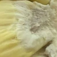 榴莲，闻着臭，吃着就是香。你喜欢吃榴莲吗？