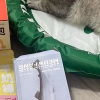 幼猫成猫湿粮包揭秘！营养补水全攻略