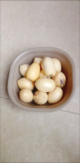 潜力作者激励计划 ，美味云南人参果0