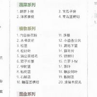十元买点显微标本玩