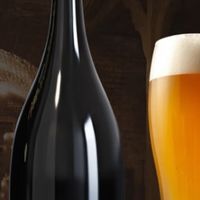 燕大师14°P赛松精酿啤酒聚会必备