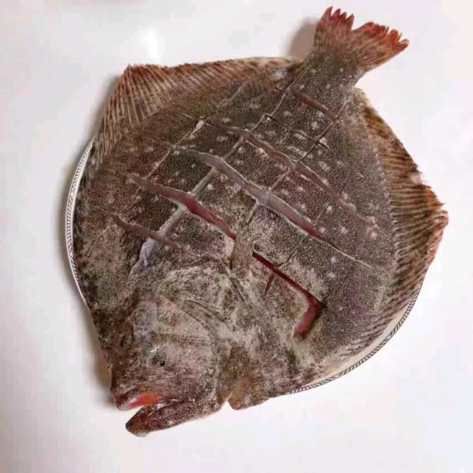 果勋鱼类