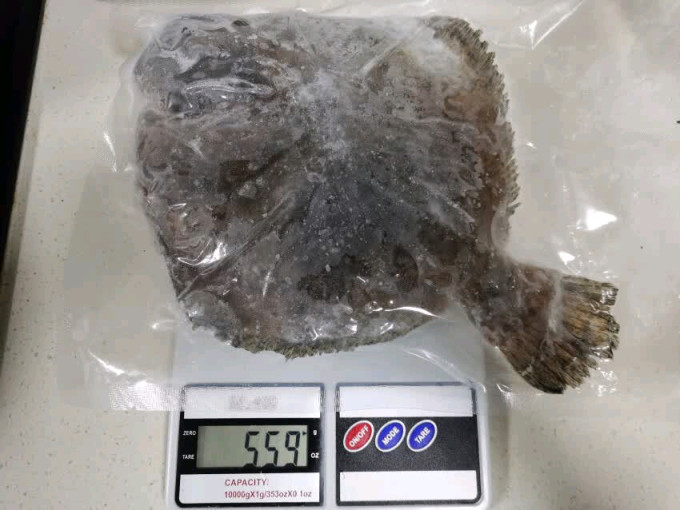果勋鱼类