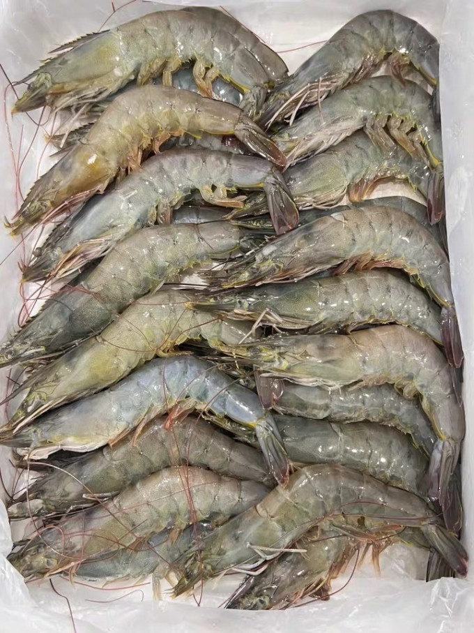 九十六次鲜虾类