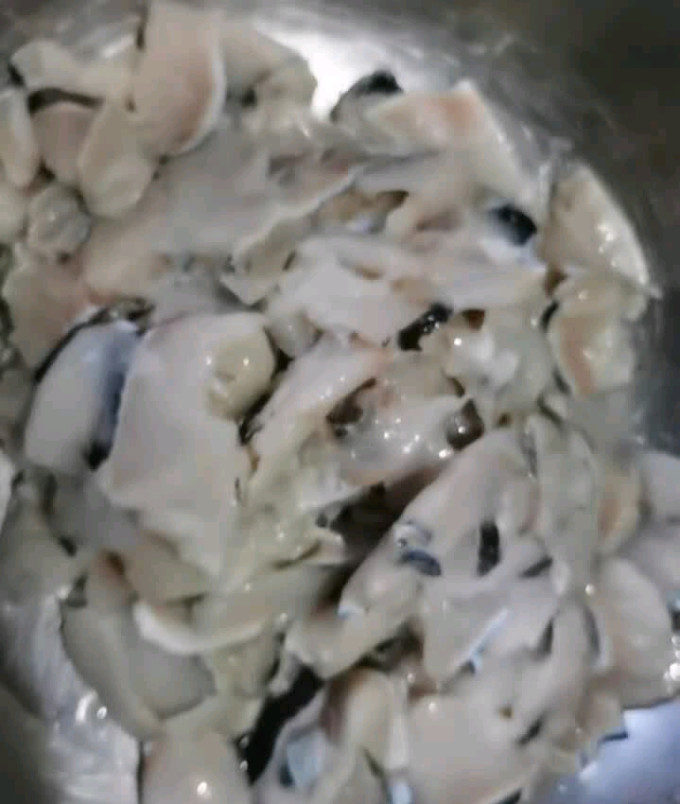钓鱼记鱼类