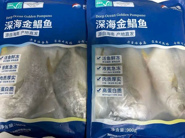 翔泰金鲳鱼，冷冻保鲜超安心