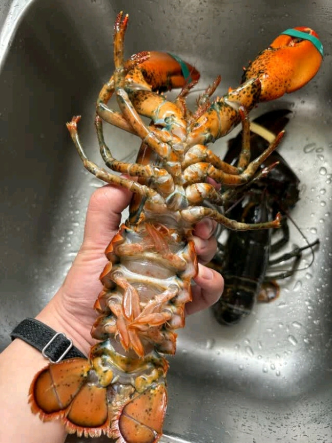 味库海鲜虾类