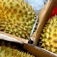 618上京东生鲜 买金枕榴莲好吃 新鲜 物流快