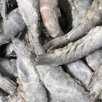 万景北海鲜冻白虾：烧烤聚餐的美味之选