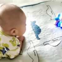 宝宝抬头好帮手——会翻滚的小猴子