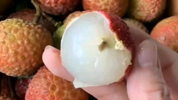蒲恋海南妃子笑荔枝当季新鲜水果整箱爆甜送礼端午节