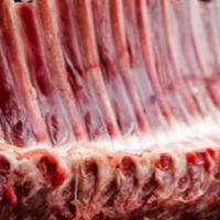 生鲜好物推荐：618期间购买最满意的生鲜产品，分享新鲜度和口感