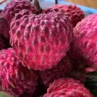 沐小七果蔬 海南火山荔枝王超大巨无霸礼盒装无核送礼水果礼盒