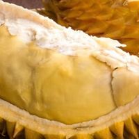 618榴莲盲盒大挑战！我竟开出了