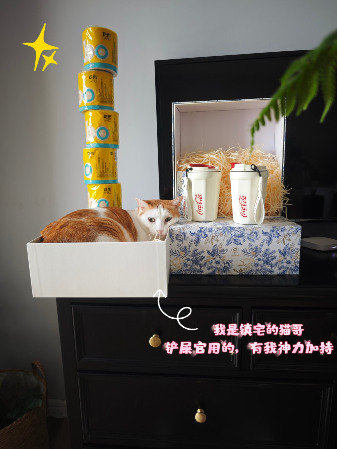 斑布保温杯