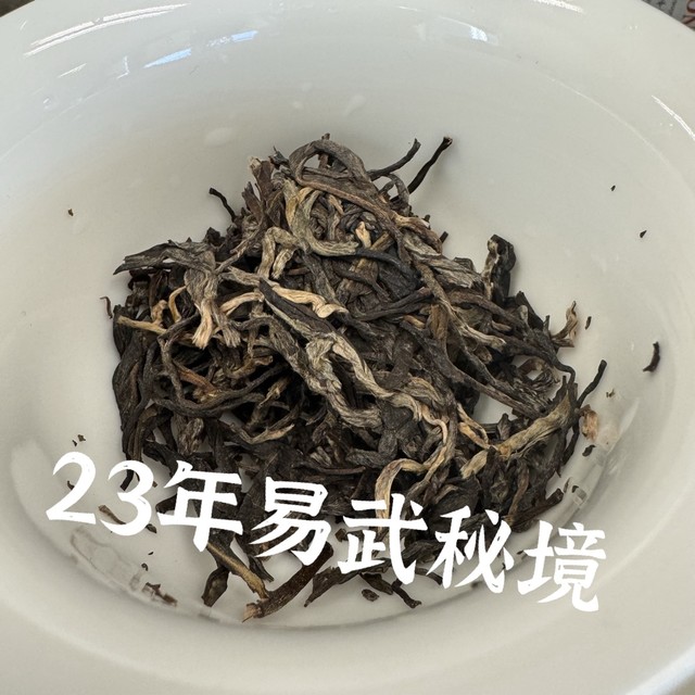 易武秘境2023年头春普洱生茶