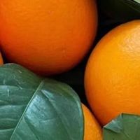 8种橙子测评：赣南脐橙、秭归脐橙等，谁才是橙子界的最强王者？