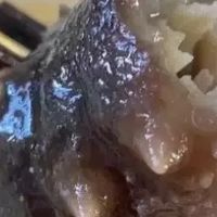 鑫玉龙菁养即食海参1500g独立包装大连底播海参3斤装辽刺参