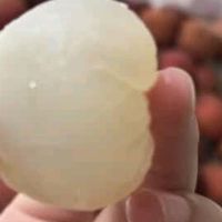 京鲜生广东桂味荔枝测评:初夏的甜蜜邂逅