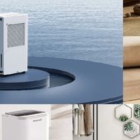 2025除湿机排名前十的品牌榜单一览：什么牌子好？看完再买不踩坑