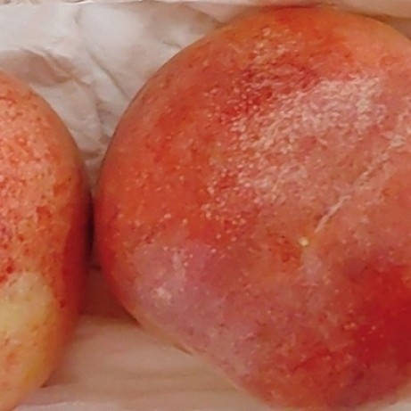 现摘桃子：脆甜多汁的夏日美味