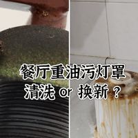 灯上居然有只苍蝇！餐厅十几年老油垢的吊灯，能洗干净吗？换新？