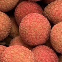 广果广东荔枝镇隆桂味糯米糍新鲜应季水果园现摘直发空运优于茂名