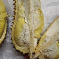 开榴莲盲盒成功！这个金枕榴莲香到幸福来敲门