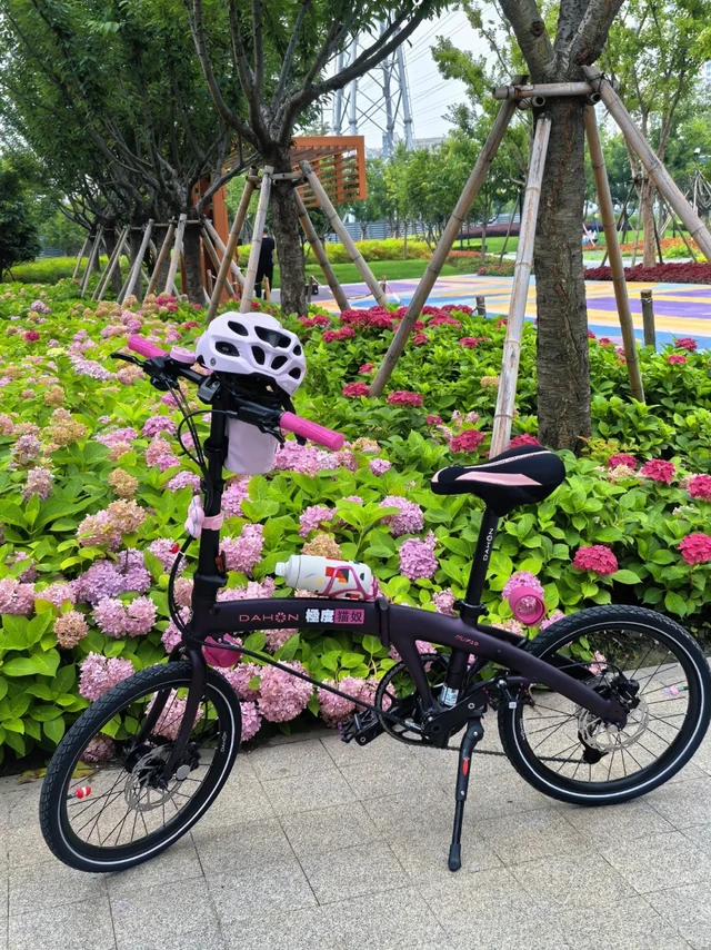 **大行P10首骑｜新手折叠车初体验🚴‍♀️