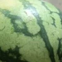 静益乐源8424麒麟瓜:网购西瓜的惊艳开箱体验