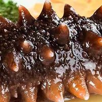 野生海参即食大连海参500g鲜活辽参海生刺参单个装礼盒速食特价