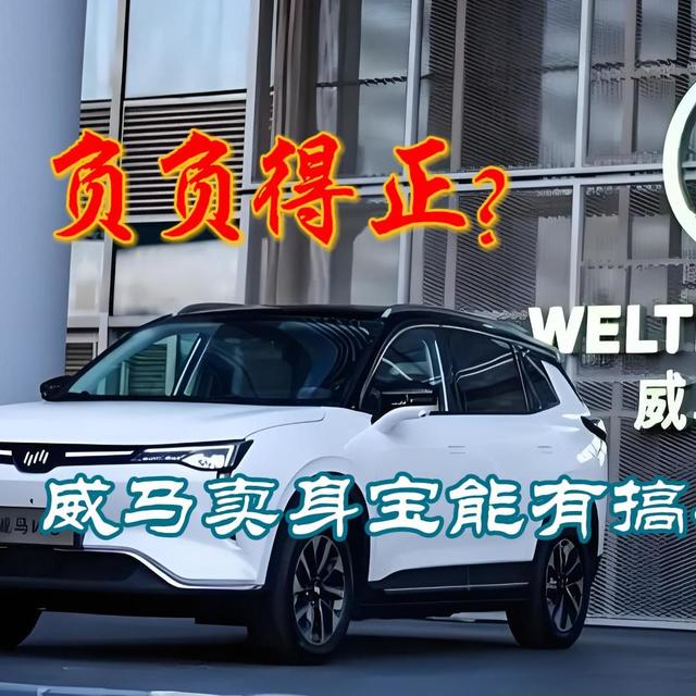 负负得正？威马卖身宝能有搞头？