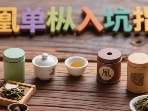 凤凰单枞入坑指南