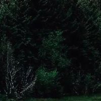 Utopia与解码耳放，谁更胜一筹？