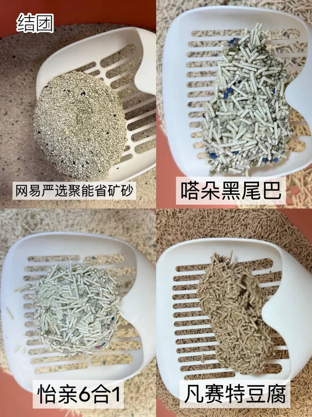618猫砂囤货指南！有这一份就够了！