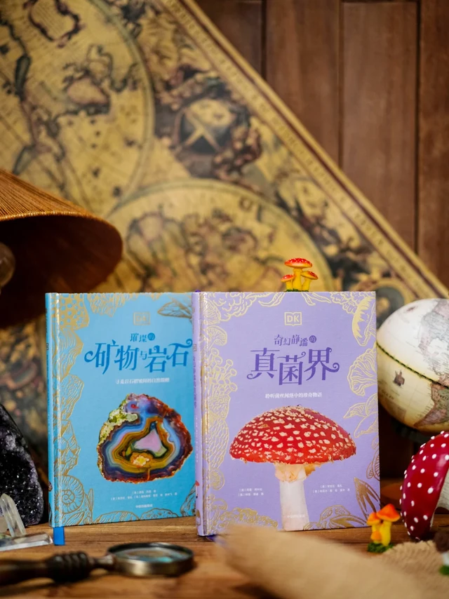 DK珍奇博物馆系列|给娃的高级科普启蒙书