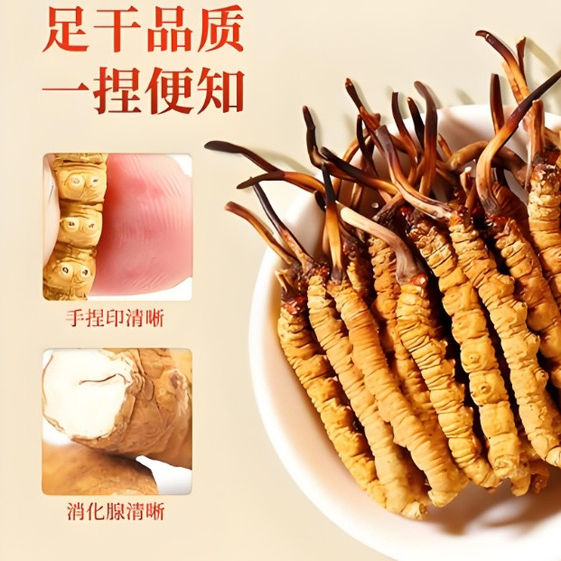 别再被忽悠了！冬虫夏草挑选全攻略，一看就懂，一用就灵
