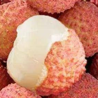 荔枝品种图鉴：从妃子笑到糯米糍的味觉密码