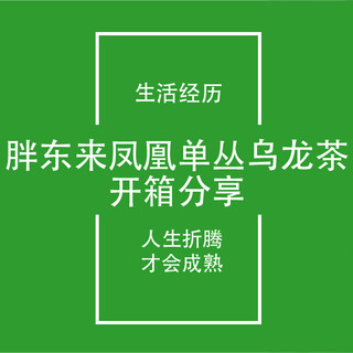 信阳FIRE生活日记24：胖东来凤凰单丛乌龙茶开箱分享